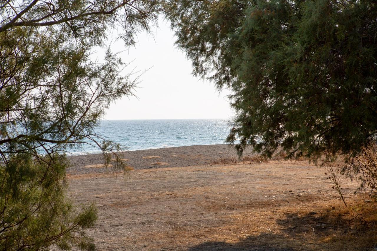Kalypso Apartment Ierapetra المظهر الخارجي الصورة